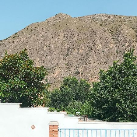 Recovery Mountain Homestay Alicante Luaran gambar